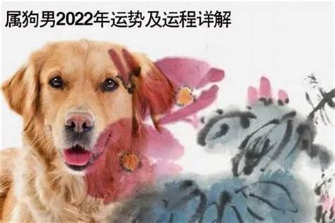 生肖狗幸运颜色|2024年属狗运势及运程详解 2024属狗人全年12个月运。